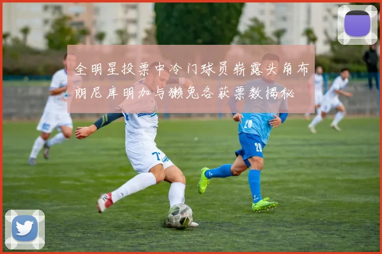 全明星投票中冷门球员崭露头角布朗尼库明加与獭兔各获票数揭秘