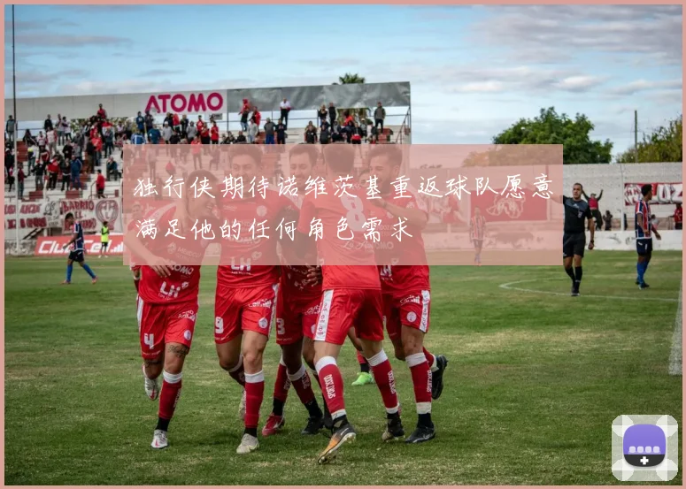 独行侠期待诺维茨基重返球队愿意满足他的任何角色需求
